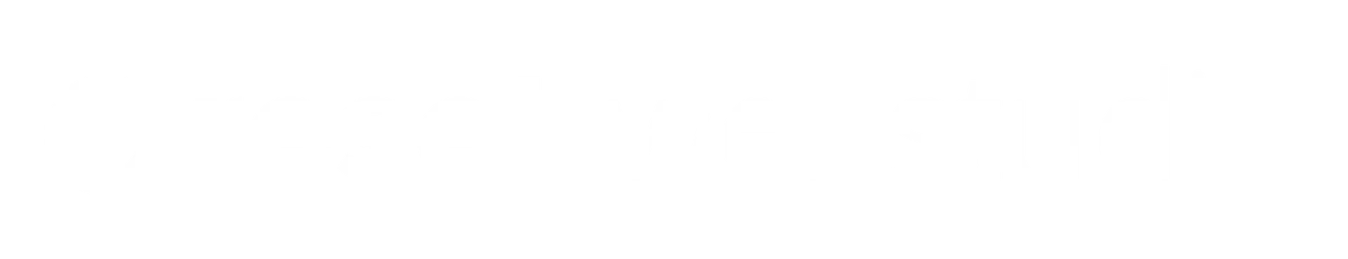 Logo Reset Webstudio
